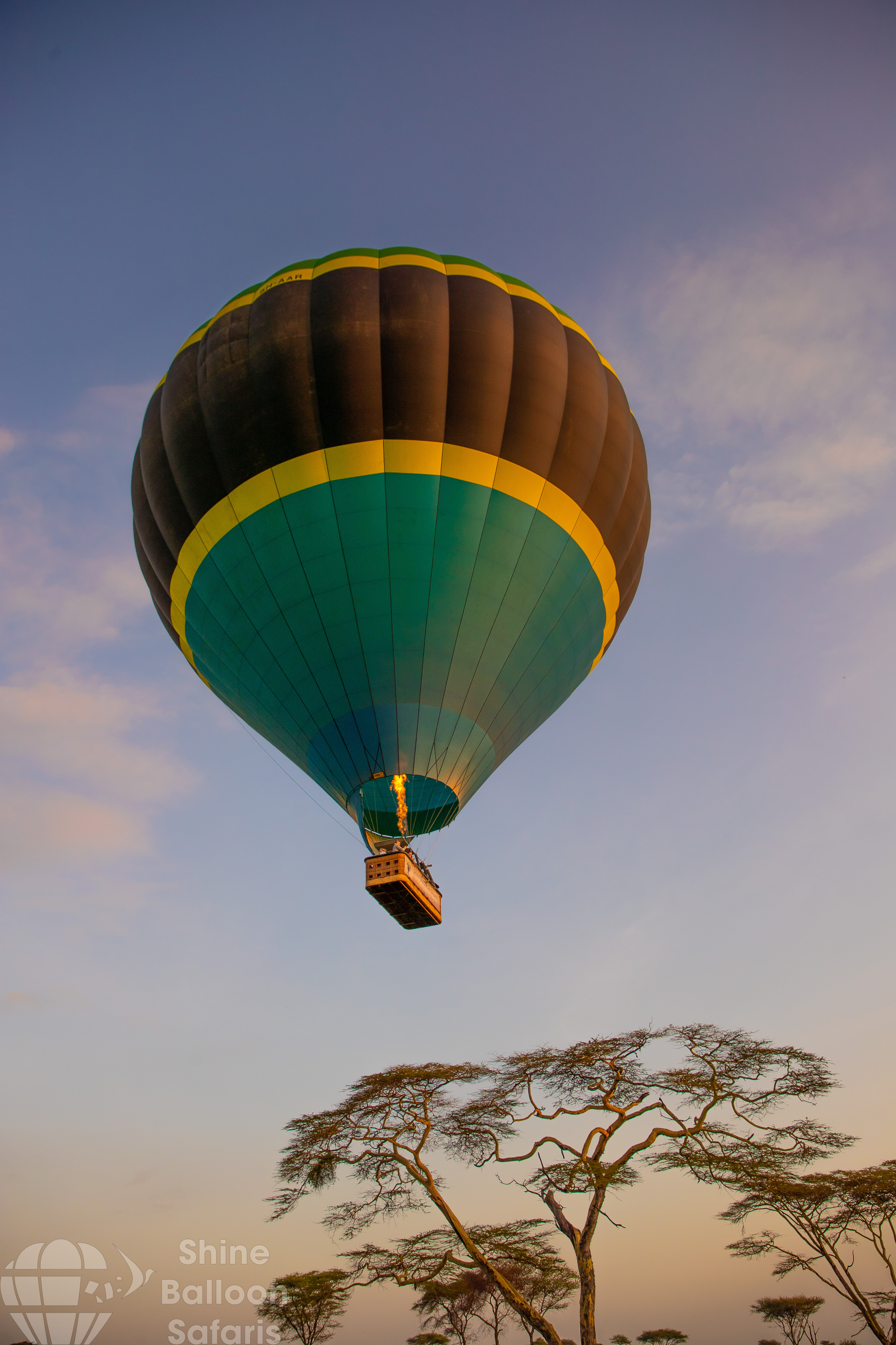 Safari Experience
